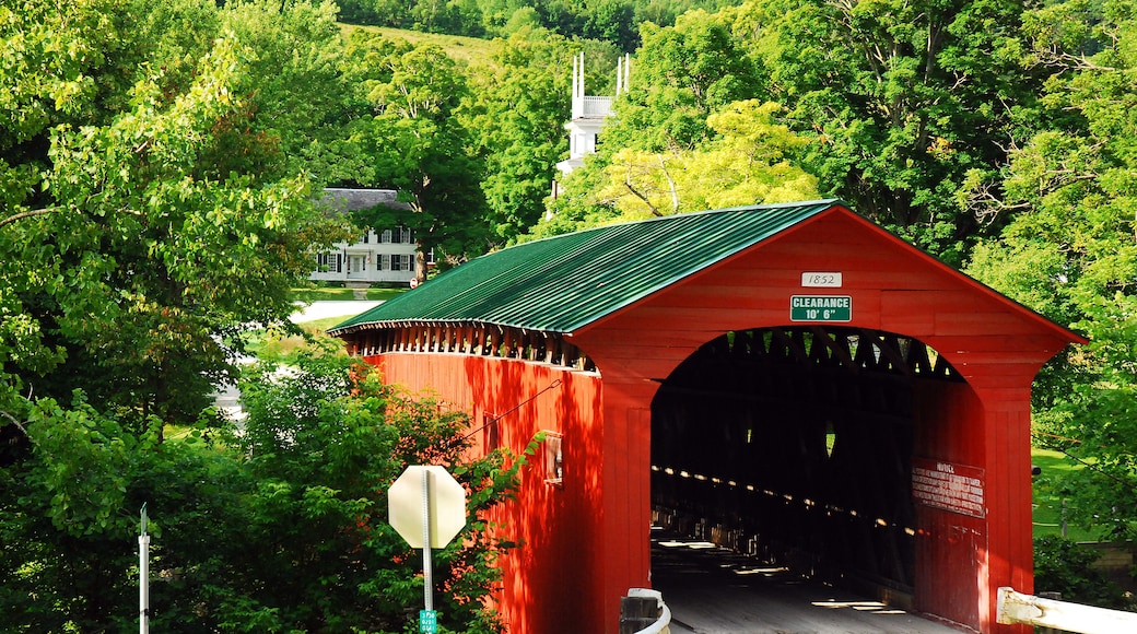 Un puente cubierto de color rojo con techo verde, rodeado de abundante vegetación y árboles.