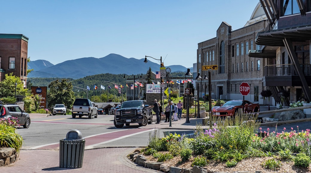 Lake Placid Adirondack Scenic Railroad Station