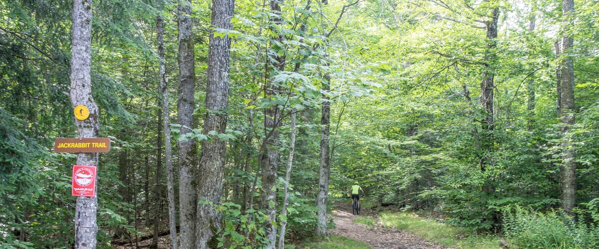 LakePlacid_JackrabbitTrail_553248621532665429-1