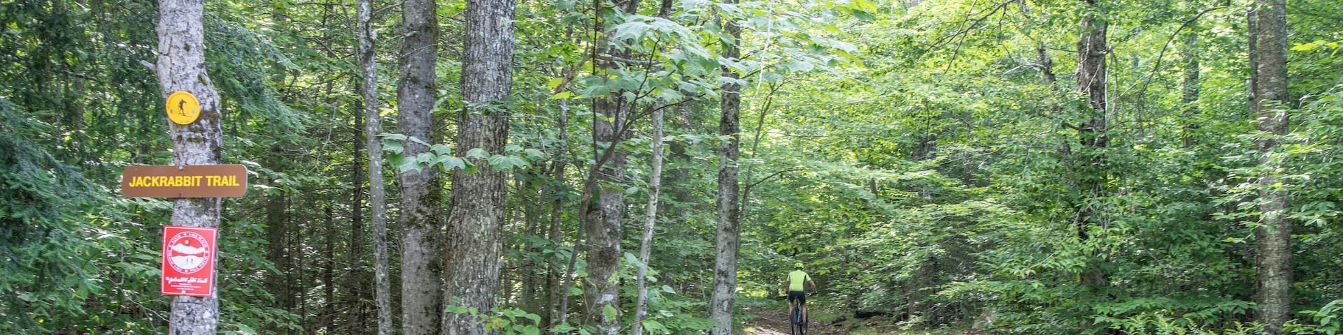 LakePlacid_JackrabbitTrail_553248621532665429-1