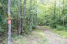 LakePlacid_JackrabbitTrail_553248621532665429-1