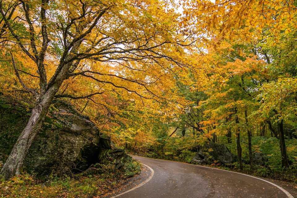 Uma estrada sinuosa cercada por folhagem de outono.