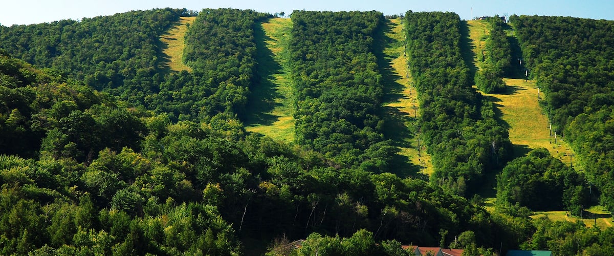 Wide paths in the middle pf a forest shows the ski trails on the mountains in the summer