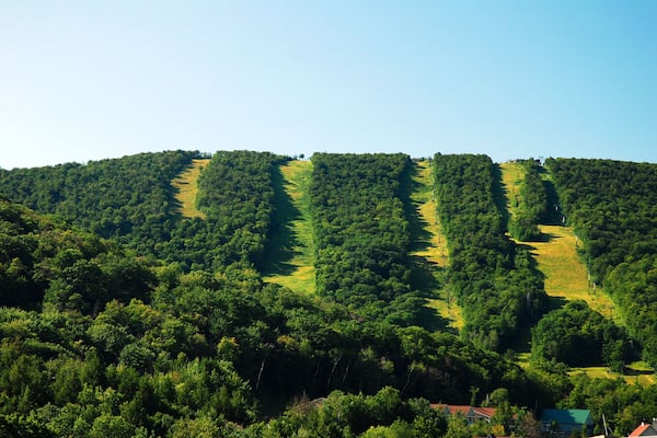 Une colline boisée avec un sentier bien tracé et un petit bâtiment au sommet.