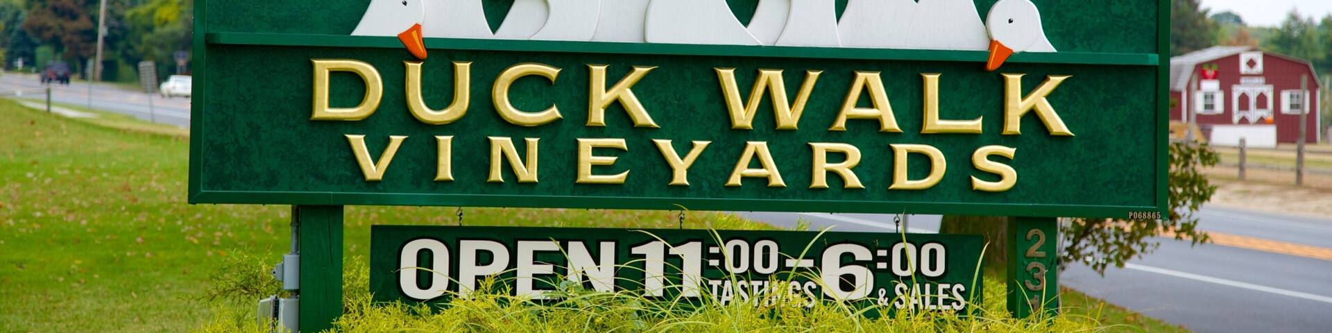 Long Island que incluye señalización