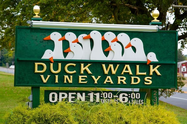 Long Island featuring signage