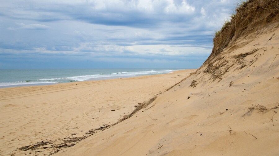 Hither Hills State Park