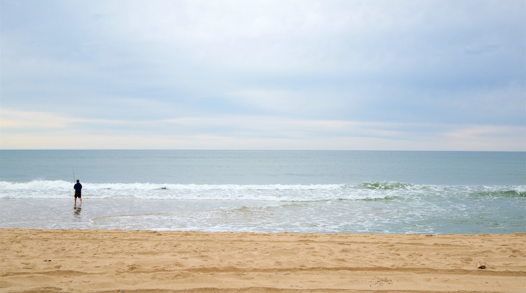 Hither Hills State Park