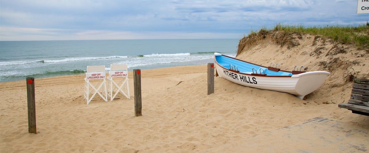 Hither Hills State Park showing general coastal views and a beach
