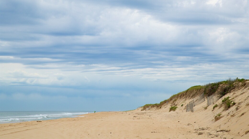 Hither Hills State Park showing general coastal views and a sandy beach