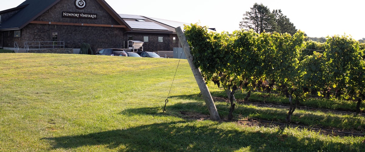 Newport_NewportVineyards_553248621532666171_01