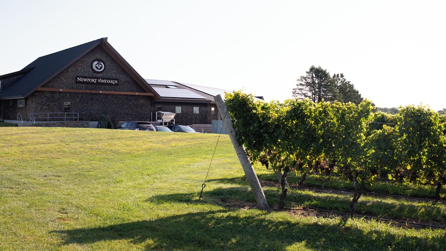 Newport Vineyards