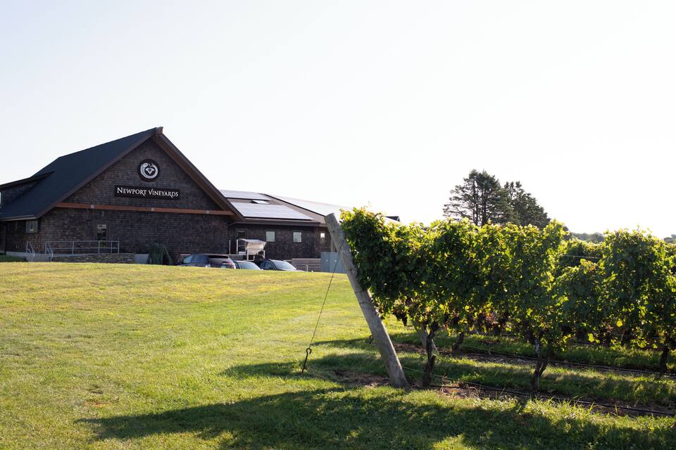 A vineyard with a building labeled "Newport Vineyards" and a grassy field.
