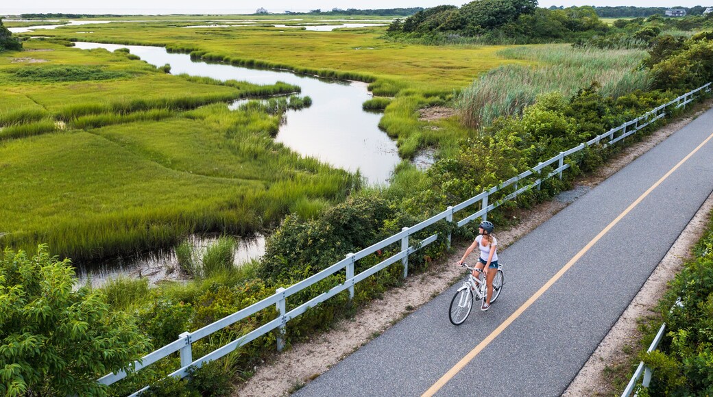 Aerial drone of Woman biking through Cape Cod Marshes bike path