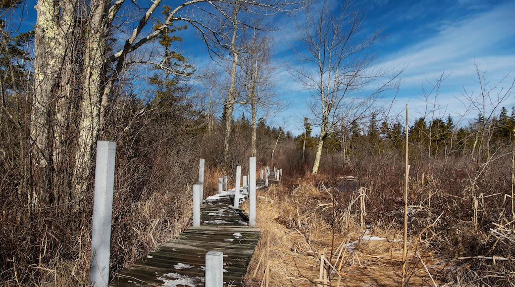 Hawley Bog-reservatet