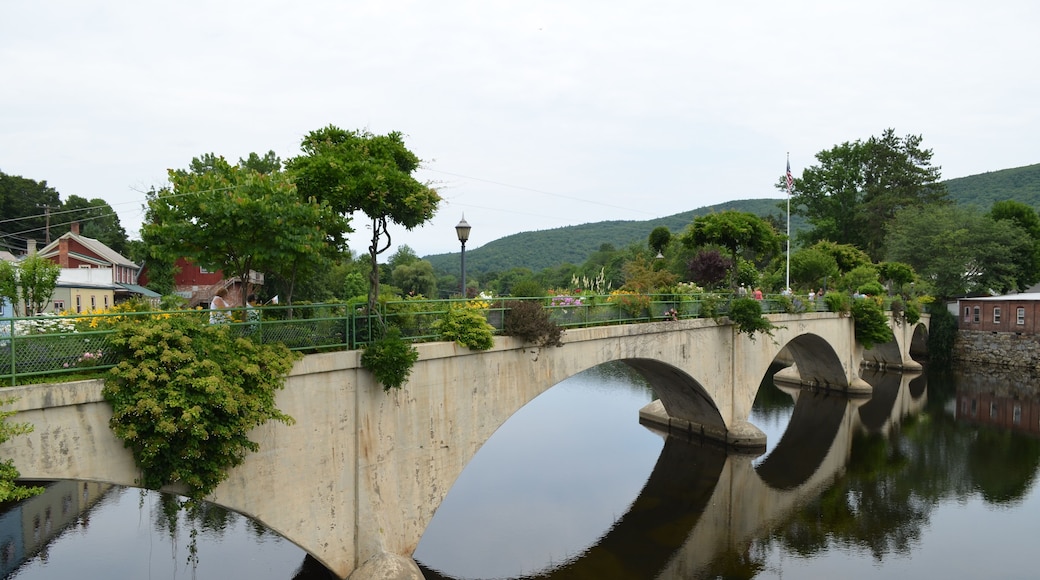 Puente de las Flores
