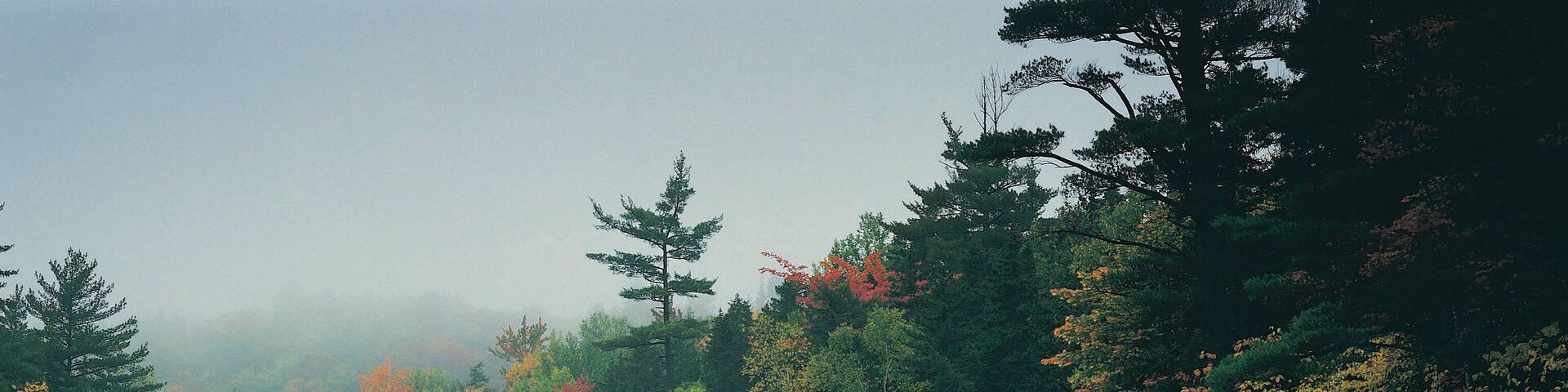 Swift river, Rocky Gorge scenic area, near Passaconaway, New Hampshire, USA