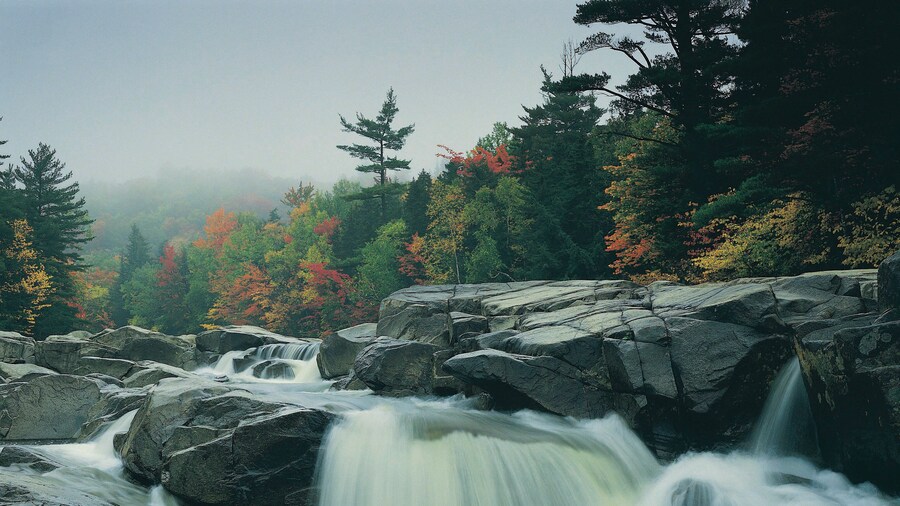 Swift river, Rocky Gorge scenic area, near Passaconaway, New Hampshire, USA