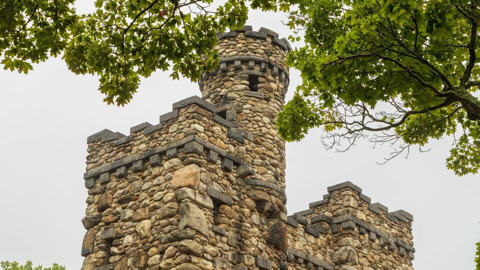Ein steinerner Turm mit einer kegelförmigen Haube, umgeben von grünem Blattwerk.