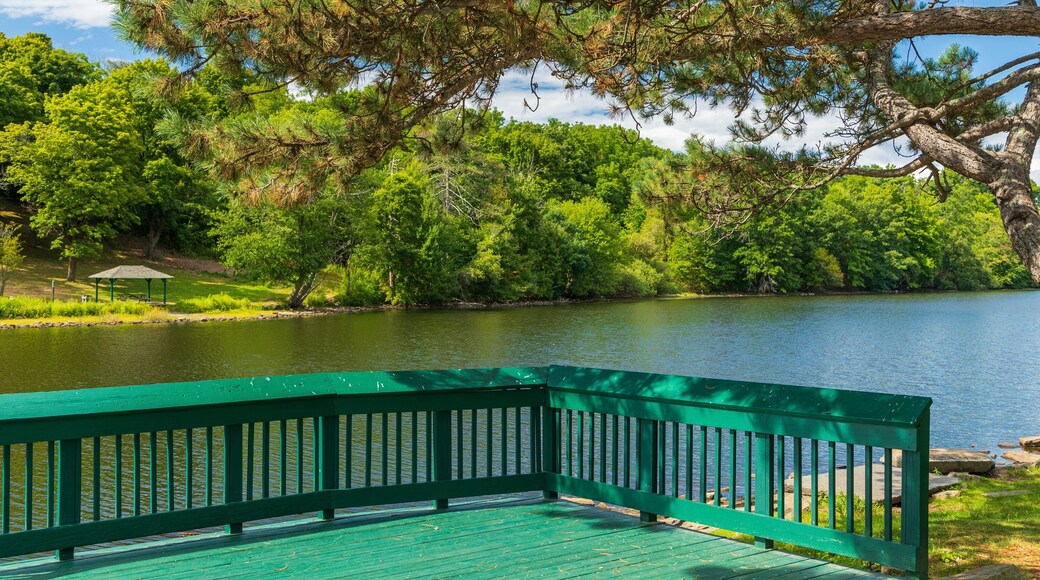 Green Hill Park featuring a river or creek