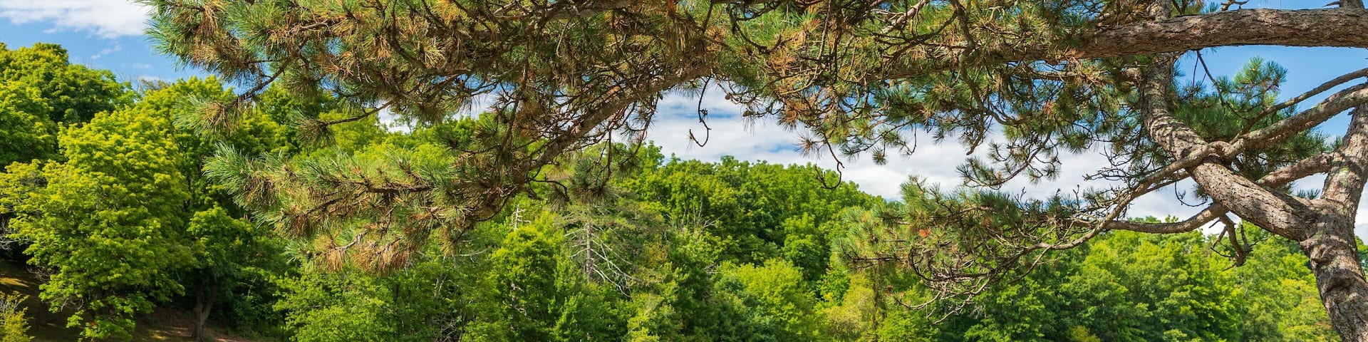Green Hill Park featuring a river or creek