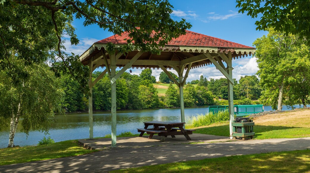 Green Hill Park which includes a lake or waterhole