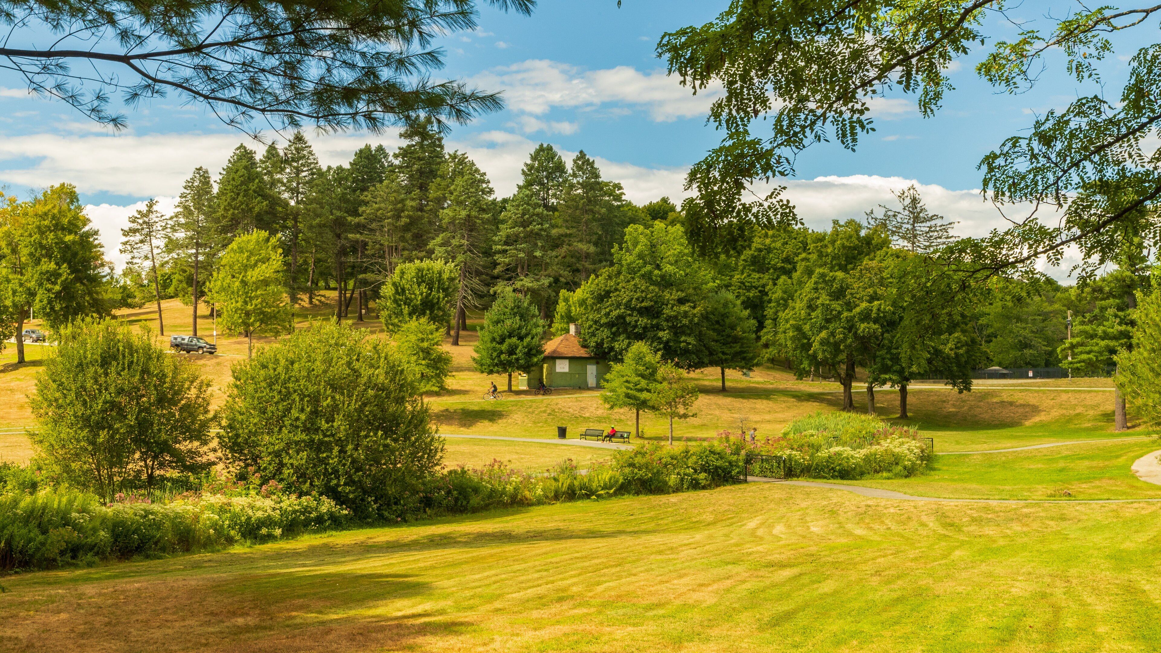 Green Hill Park showing a park