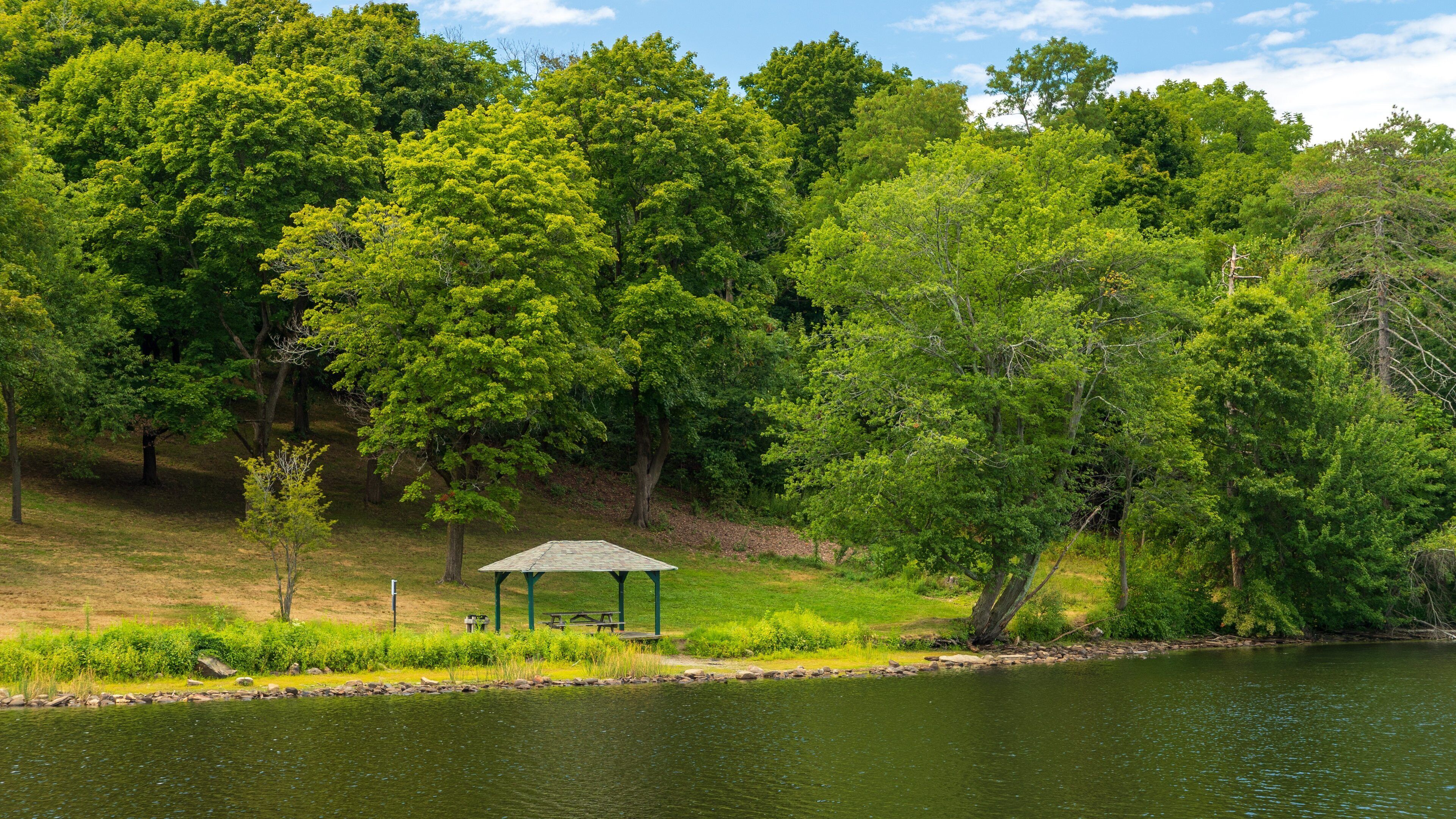 Green Hill Park showing a park and a lake or waterhole