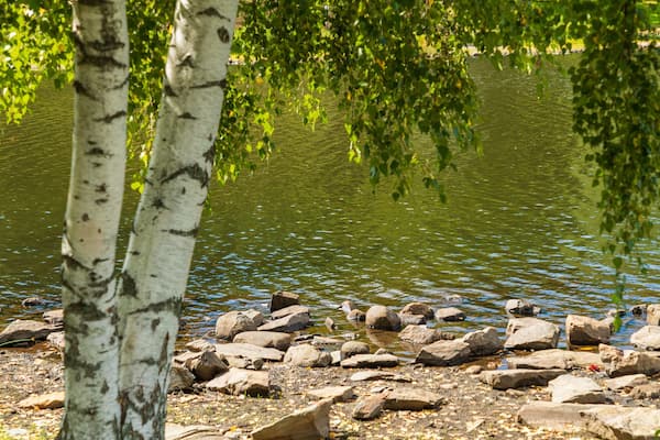 Green Hill Park which includes a lake or waterhole