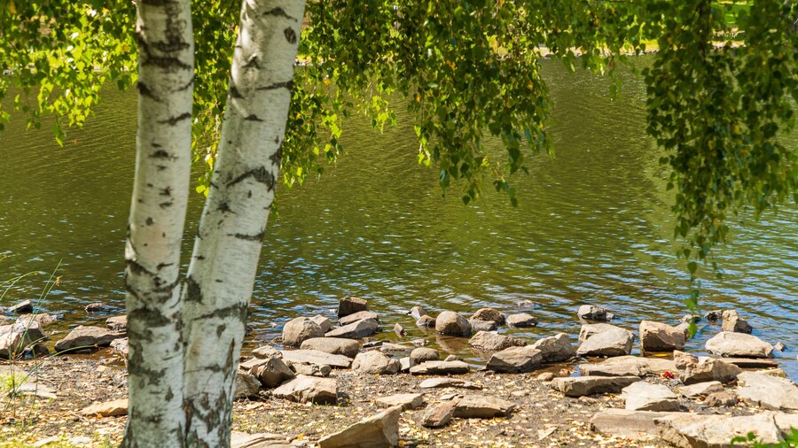 Green Hill Park which includes a lake or waterhole