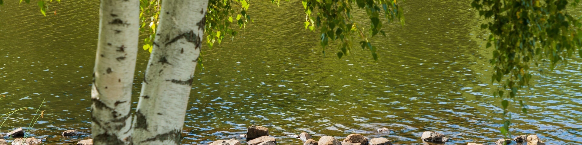 Green Hill Park which includes a lake or waterhole