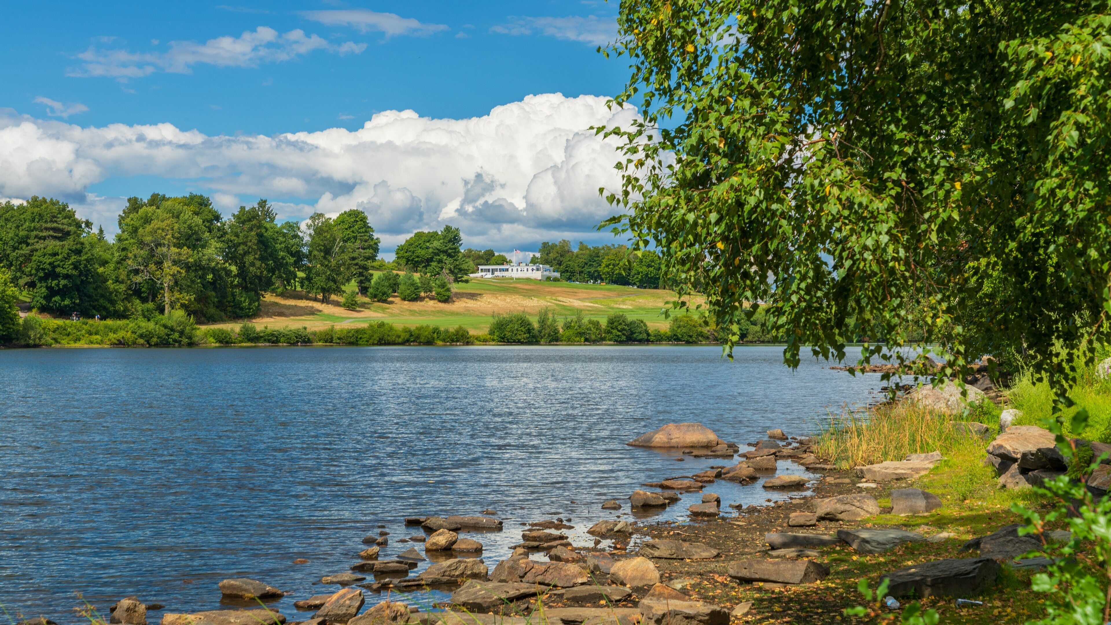 Green Hill Park showing a lake or waterhole