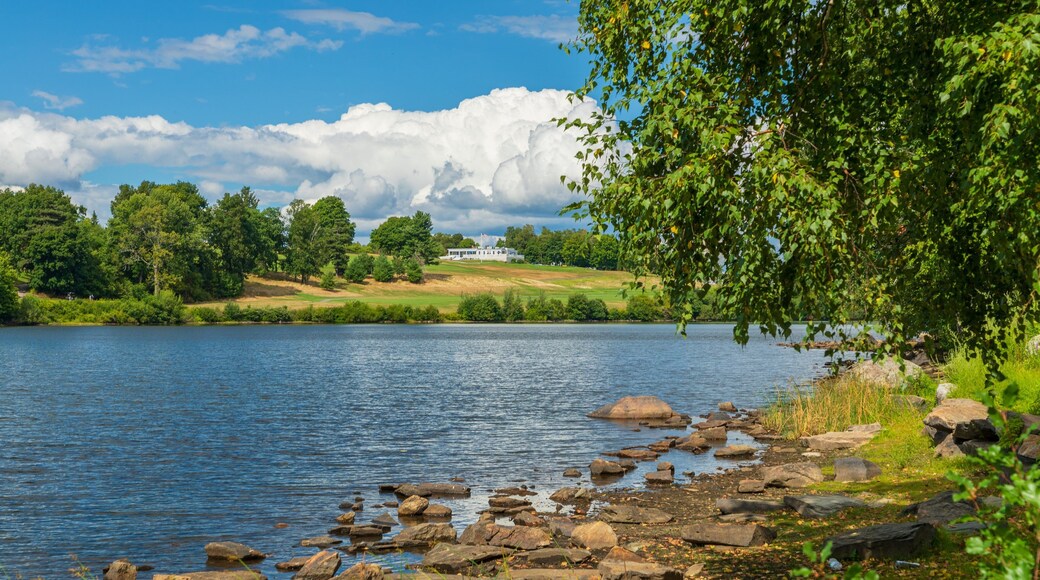 Green Hill Park showing a lake or waterhole