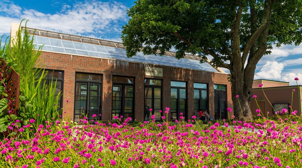 Tower Hill Botanic Garden featuring wildflowers