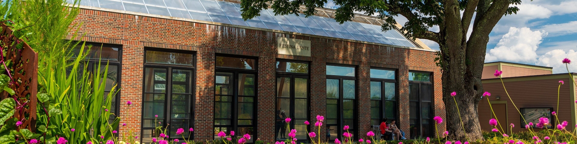 Tower Hill Botanic Garden featuring wildflowers