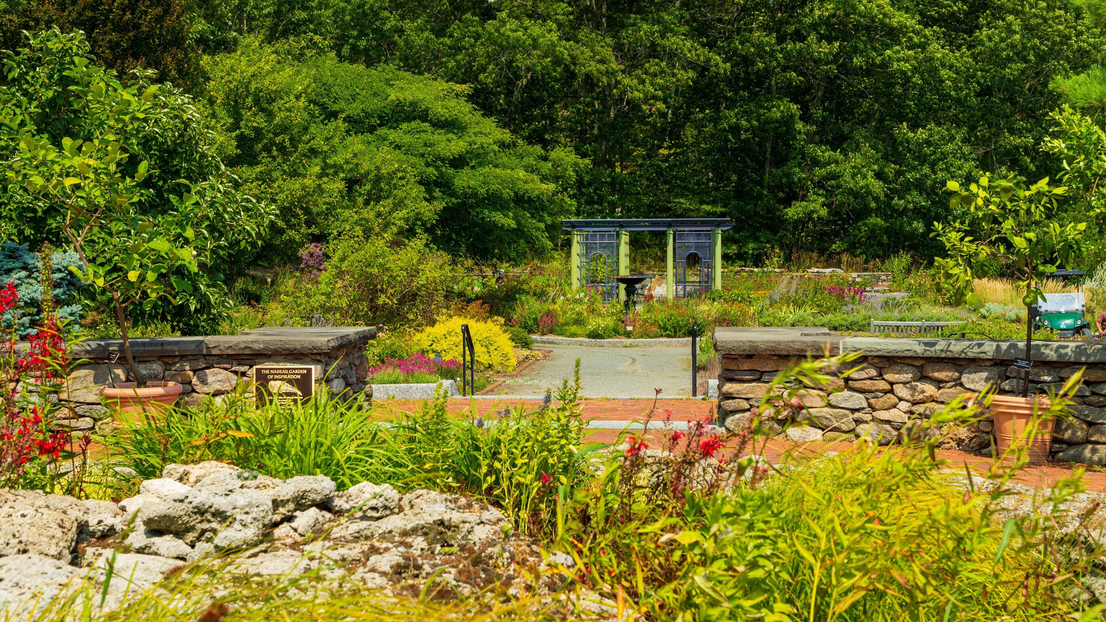 Tower Hill Botanic Garden which includes a garden