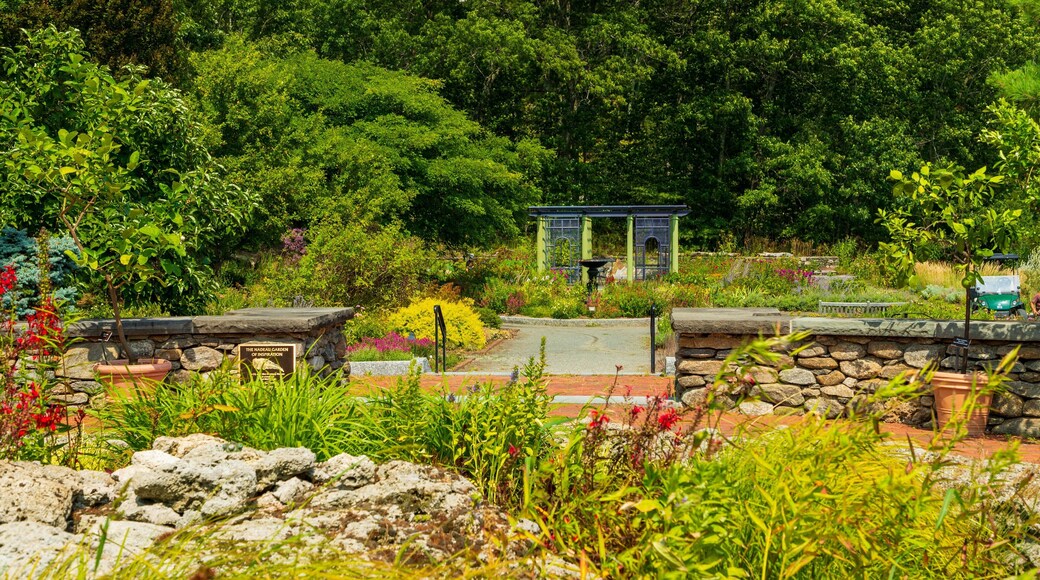 Tower Hill Botanic Garden which includes a garden