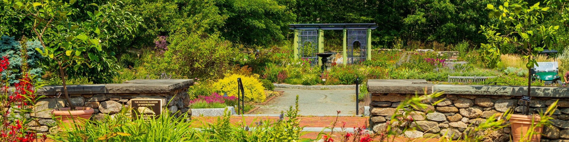 Tower Hill Botanic Garden which includes a garden