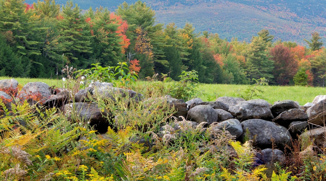 Monadnock State Park