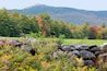 Monadnock delstatspark