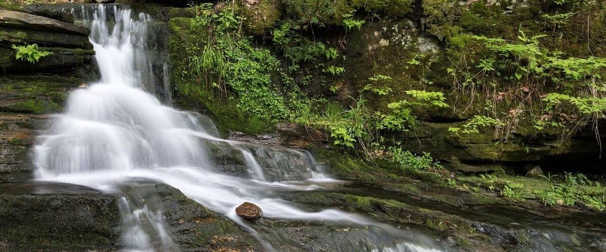 A waterfall cascading over moss-covered rocks in a forested area.
