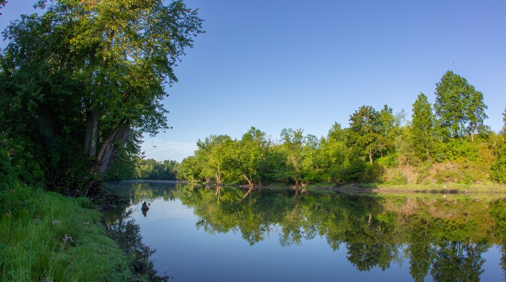 パラダイス公園