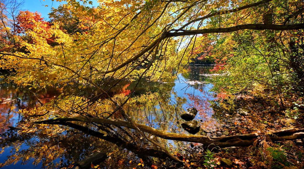 Charles River Peninsula