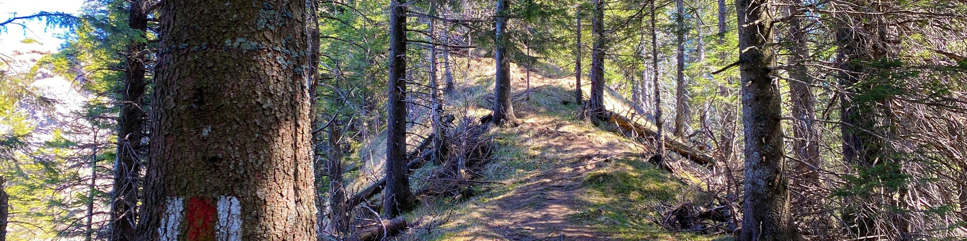 Mountaineering signposts and markings on the hills over the Eigental alpine valley and in central Switzerland, Eigenthal - Canton of Lucerne, Switzerland (Kanton Luzern, Schweiz)