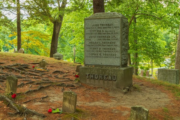 Une pierre tombale portant les noms des membres d’une famille et des dates, dans un cimetière entouré d’arbres.