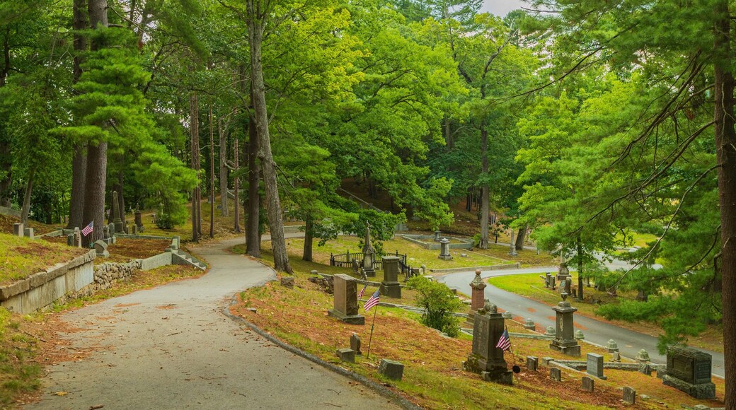 Sleepy Hollow Cemetery which includes a cemetery