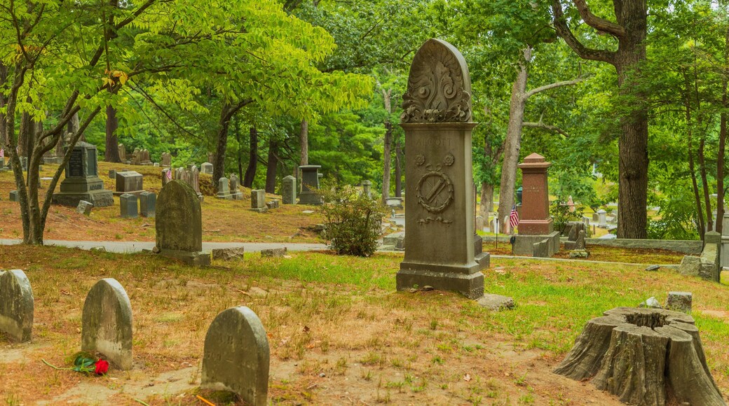 Sleepy Hollow Cemetery featuring a cemetery