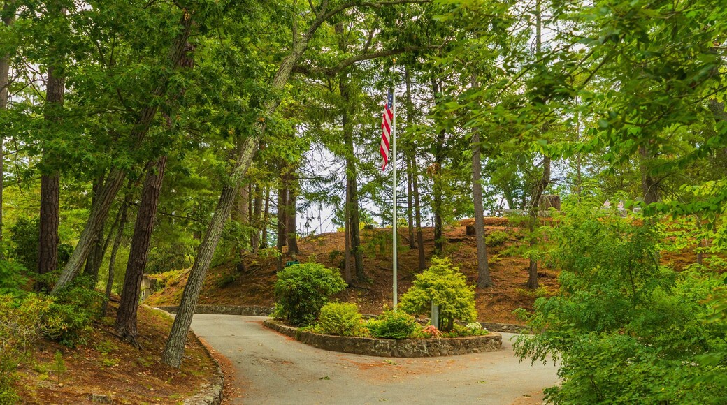 Sleepy Hollow Cemetery featuring a garden