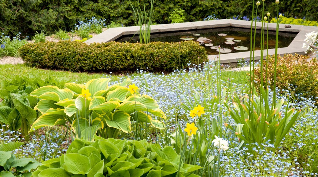 Residencia Long Hill