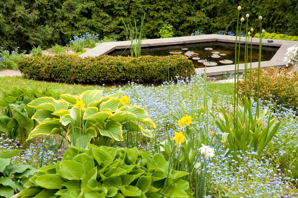 Een tuin met een vijver, weelderige begroeiing en verschillende bloemen.